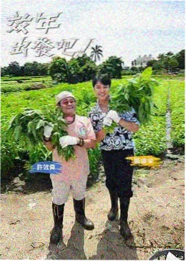 成全高清在线 乘风2025